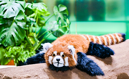 尊龙凯时·(中国区)人生就是搏!